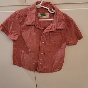 Oshkosh button-down short sleeved toddler shirt